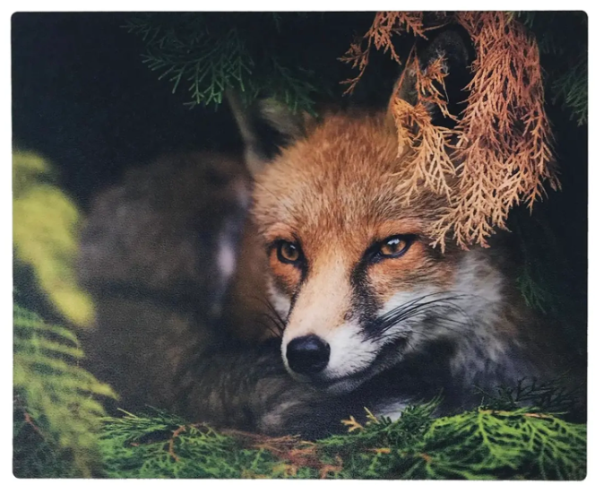 Metal/Aluminium Photo Plate. Personalised with your photo or design