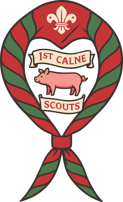 Kids - Calne Scouts SOLs T-Shirt