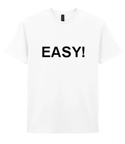 Route 2 Fitness Gildan SoftStyle® Adult T-Shirt - White